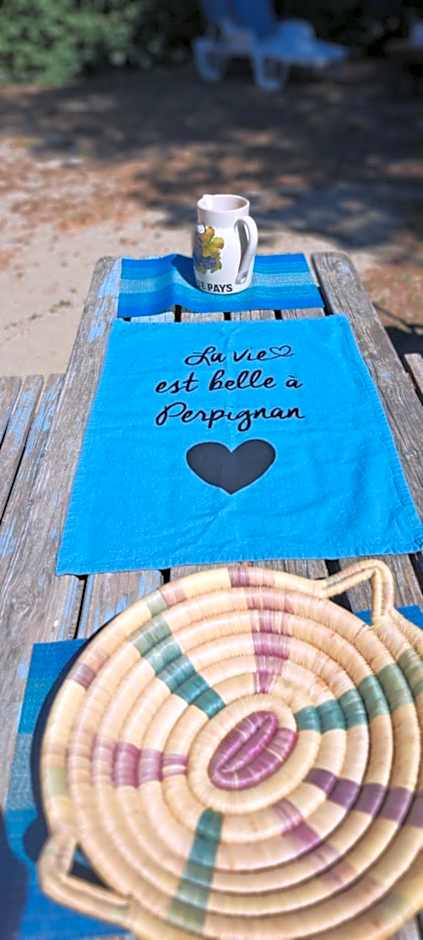 Barcarès entre mer et étang joli mas rénové classé idéal grande famille 6-8 couchages