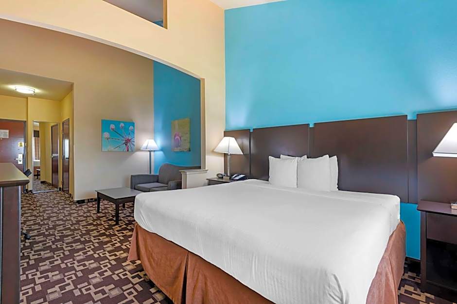 Best Western Plus Arlington North Hotel & Suites