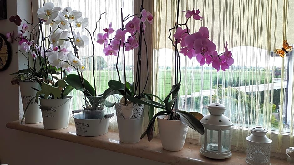 B&B A casa di Eleonora