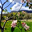 Cà Gennara Agri B&B
