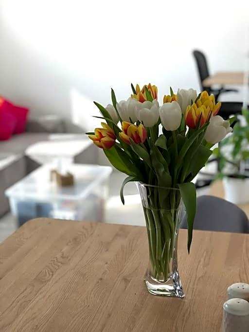 Apartment Little Hill