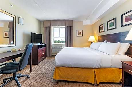 1 King Bed Nonsmoking