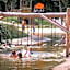 Camping Wedderbergen