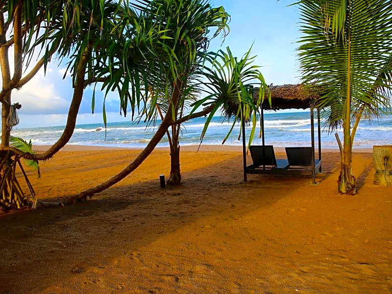 Whispering Palms Hotel