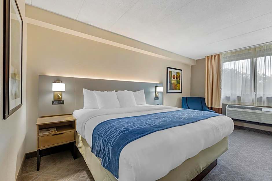 Comfort Inn Washington Dulles International