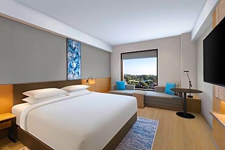 Standard, Guest room, 1 King, City view