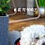 Rooms & Glamping Lana Haus