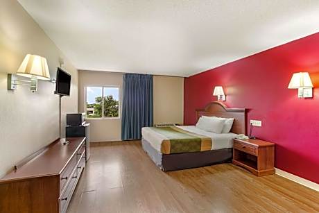 Single Room - Disability Access