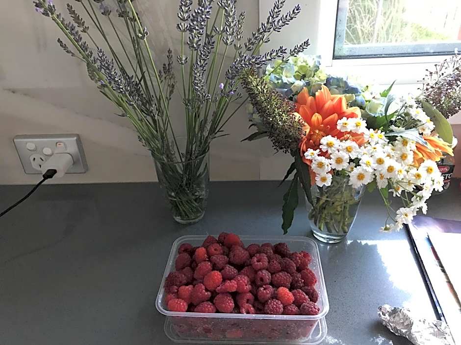 Hillside Bed and Breakfast