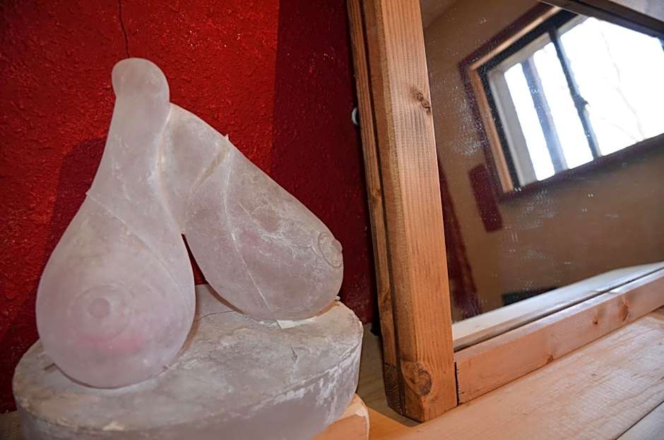 ARtINn 極寒藝術伝染装置