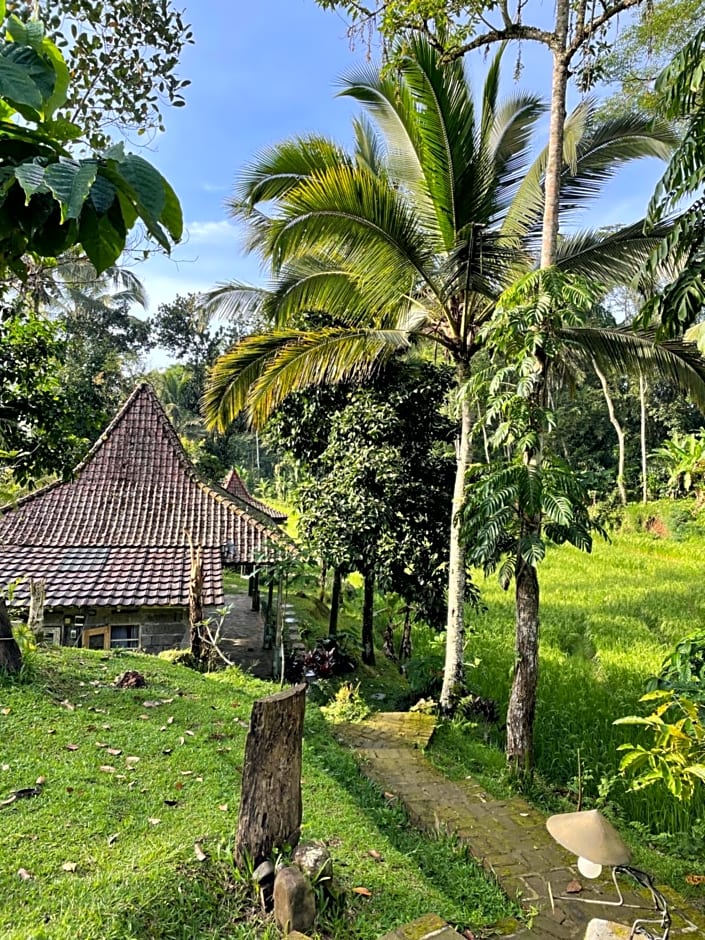 Oemah Tepi Sawah