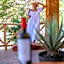 La Dulce Vista Hotel & Villas - Sierra Madre Puerto Vallarta