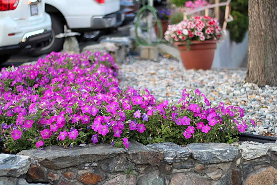 Best Budget Inn & Suites Kamloops