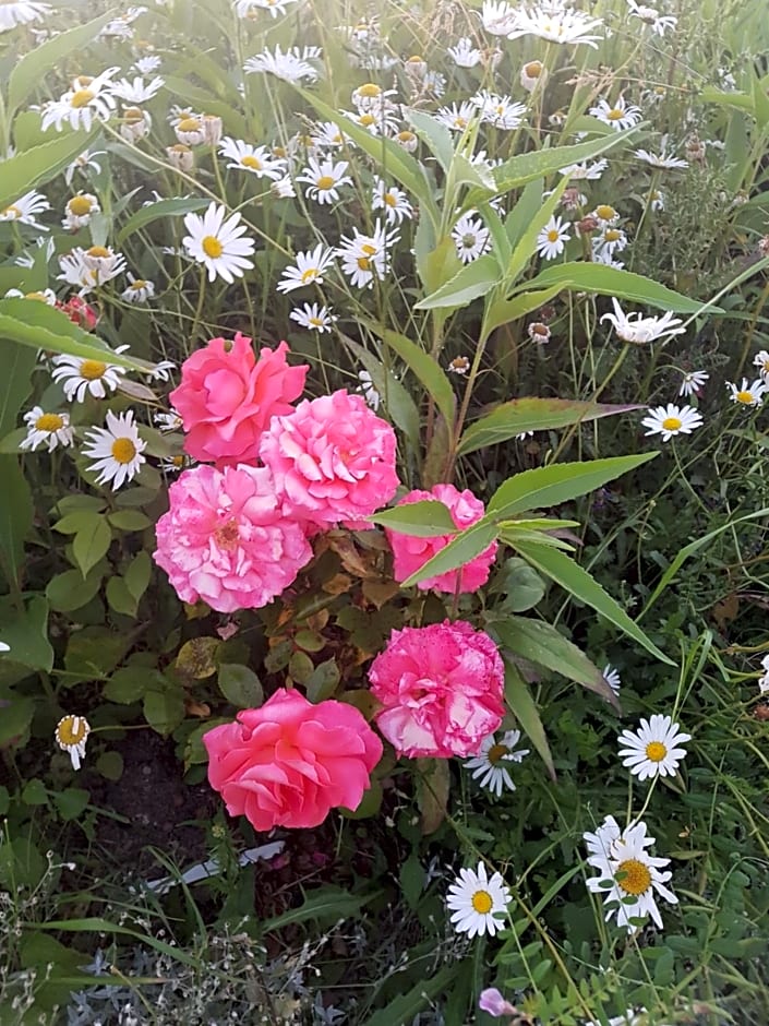 La Lisière du Morvan