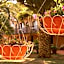 Albergo Belvedere