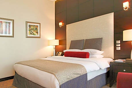 Standard Double Room (1 King Bed)