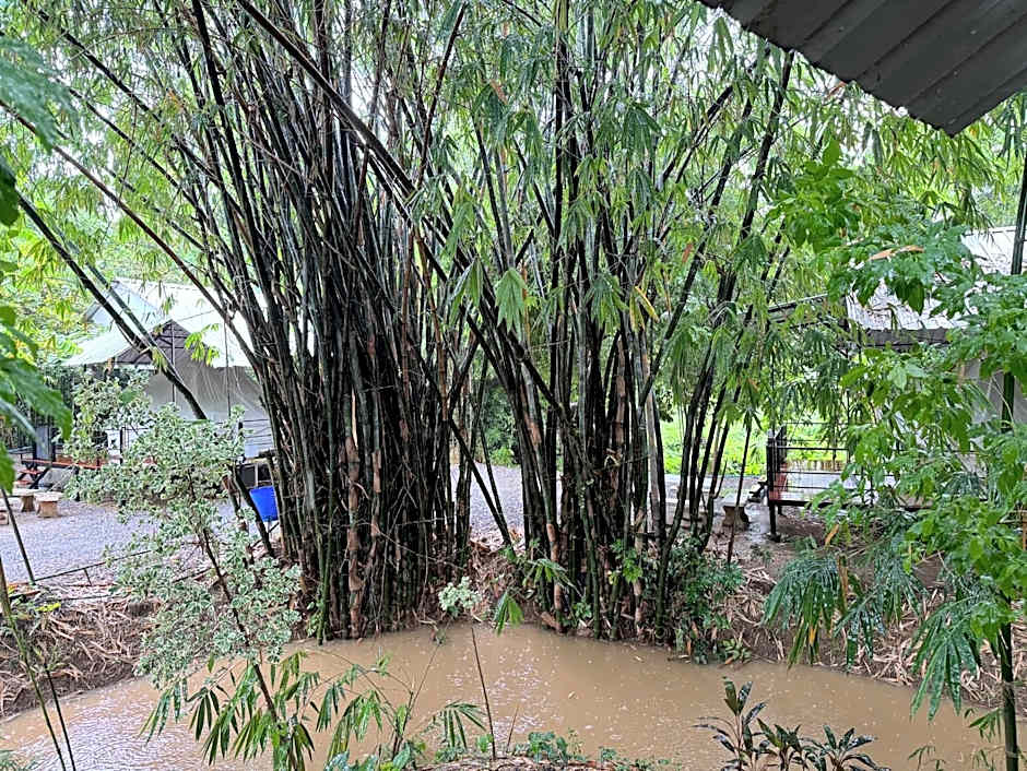 NP โฮมสเตย์ นอนเต็นท์ติดแอร์