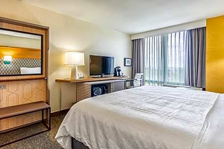 Premium King Room - Communications and Mobility Accessible
