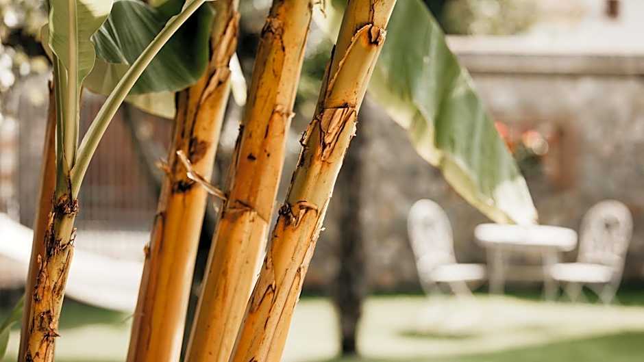 B&B Antico Borgo Marcemigo