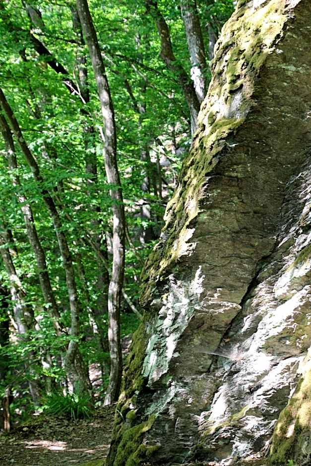 Hotel Fürstenhof Bad Bertrich