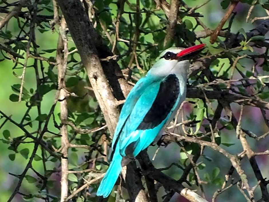 Emhosheni River Lodge