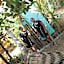 Camotes-Hidden-Huts