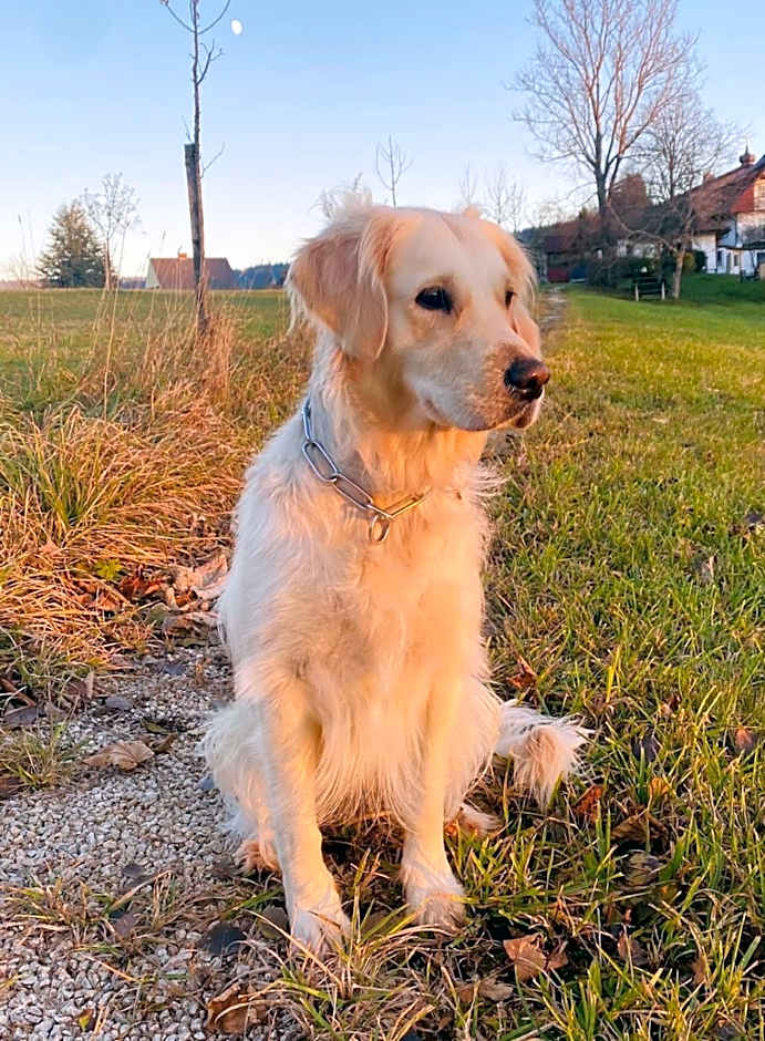 Ferienzimmer Paunger