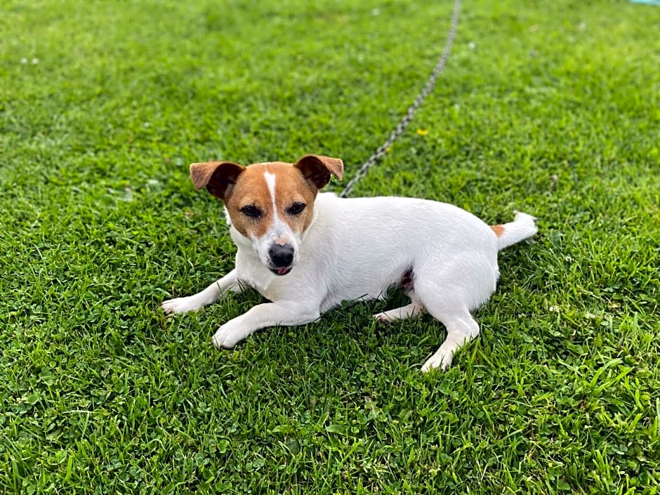 Cedar Lodge Self Catering Accommodation H91 CF9D