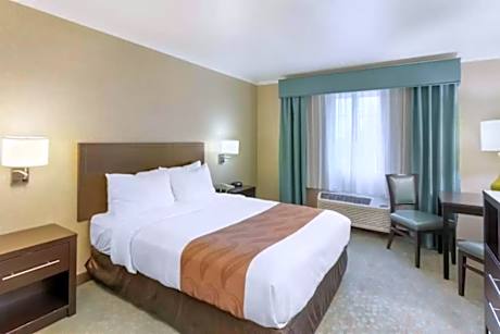 1 King Bed Nonsmoking
