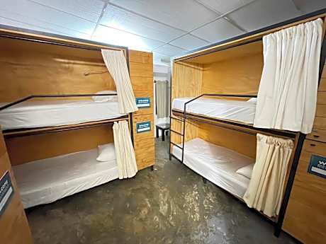 Bed in 6-Bed Dormitory Room