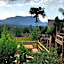 Baan AingDoi Homestay