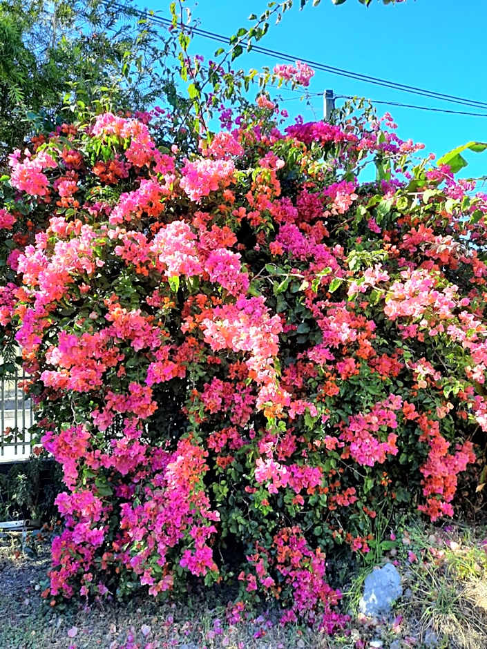 GÎTE Le Calou Pilon