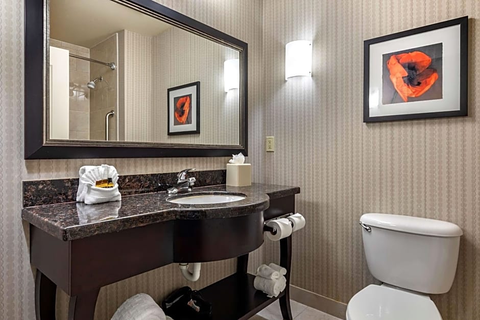 Best Western Plus Dfw Airport West Euless