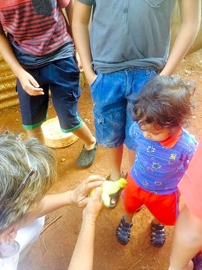 The Cradle Berry Farm