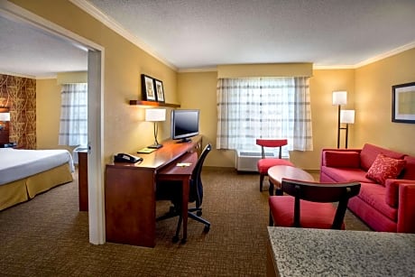 One-Bedroom King Suite with Bathtub - Mobility Accessible