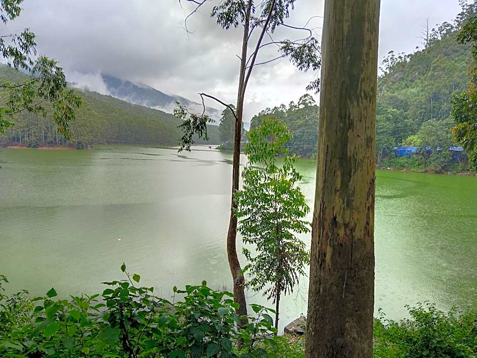 The Wind Munnar