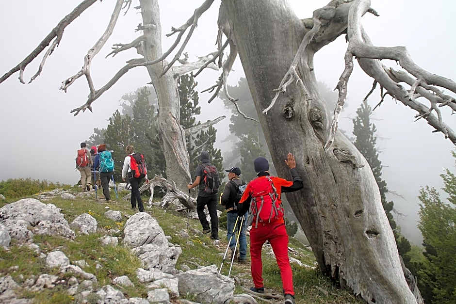 Il Borgo Ospitale - Albergo Diffuso