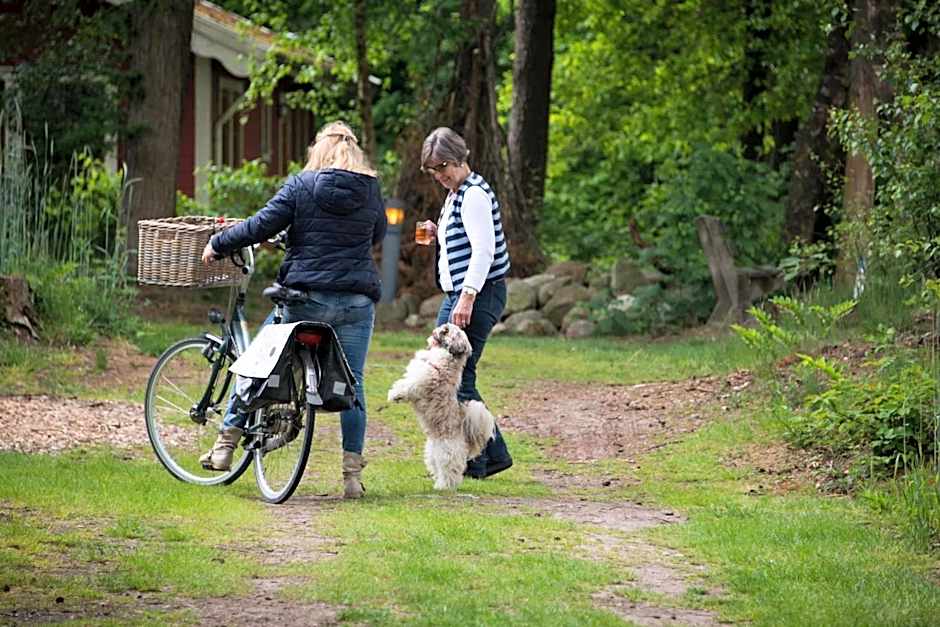 EuroParcs De Wiltzangh