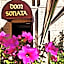 Dom Sonata