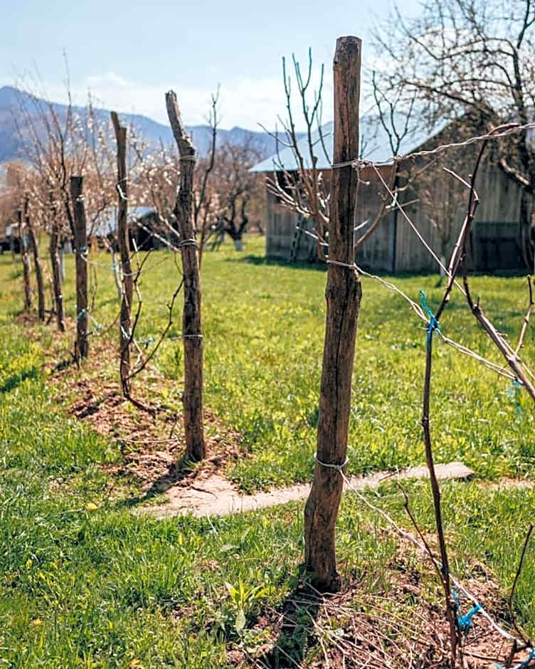 Pensiunea Oșencuța