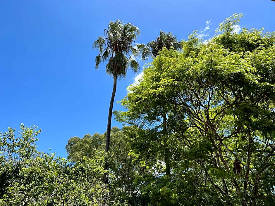 Peaches & Cream Bed & Breakfast