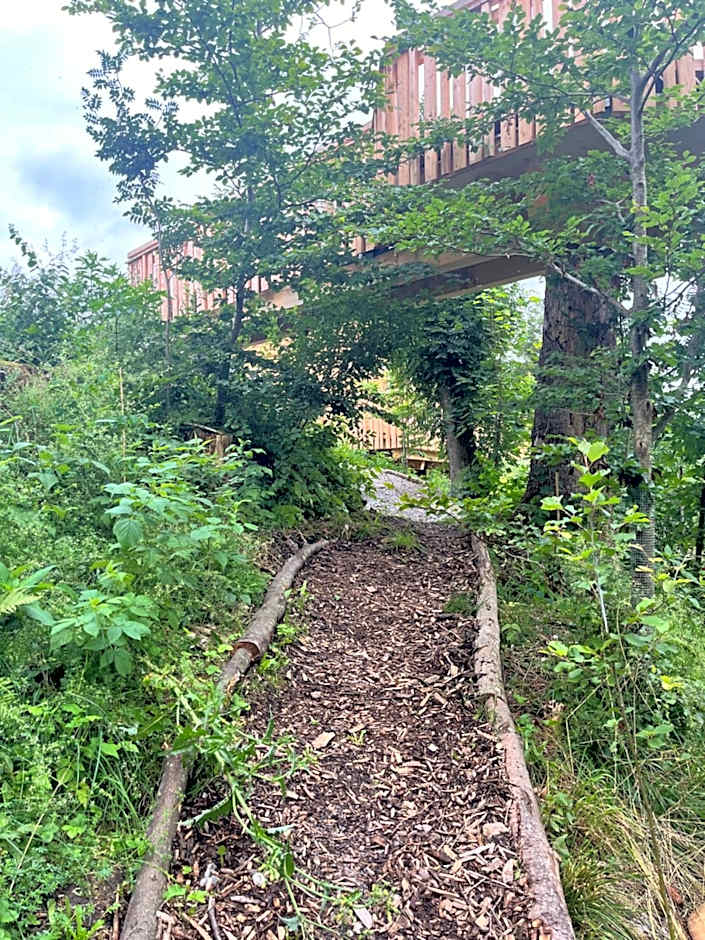 Wald ist Zukunft