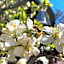 Hotel Residenz Rennhack