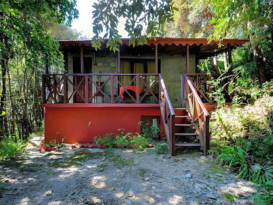 Jungle Lore Birding Lodge