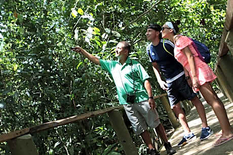 Pachira Lodge