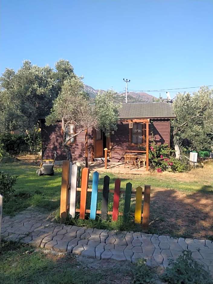 Bahar Bahce Datca