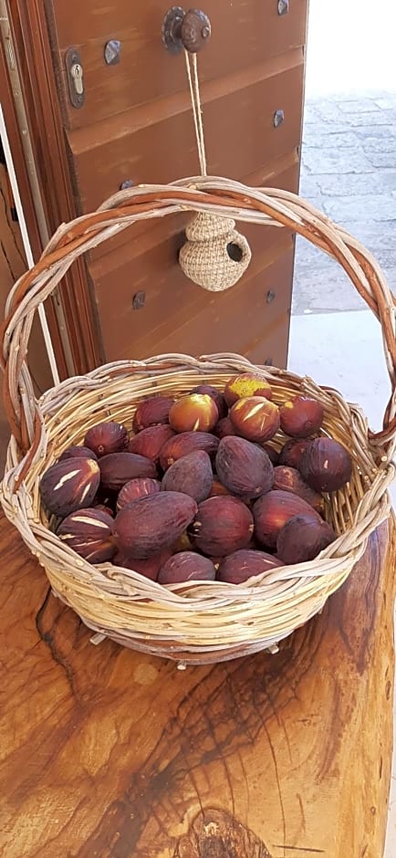 Antica Masseria Ficazzana - Tenuta