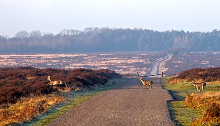 Postillion Amersfoort Veluwemeer