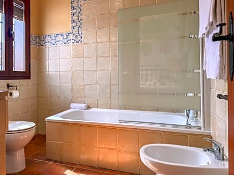 Double or twin with terrace