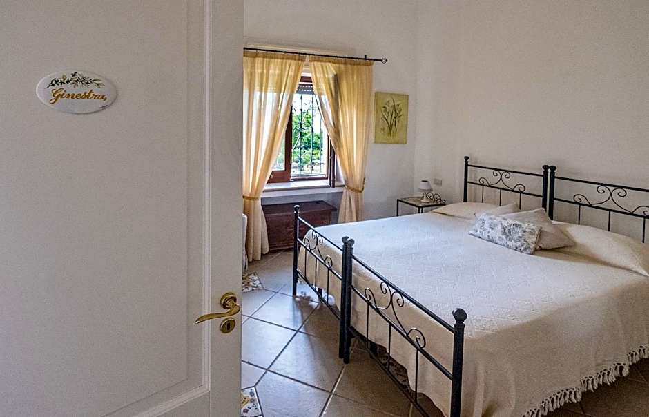 B&B Il Vicolo